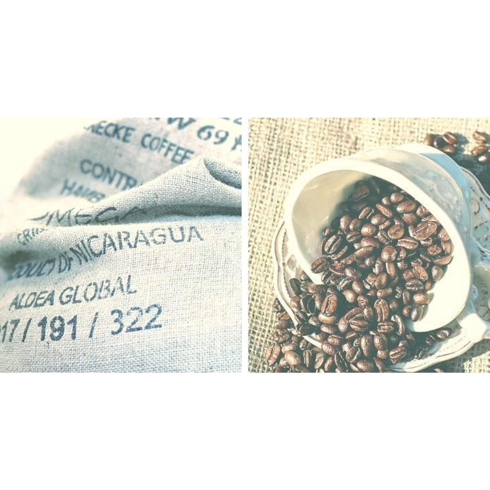 Nicaraguan Craft Coffee - Single Origin - 12oz / Whole Bean - Coffee - $15.25