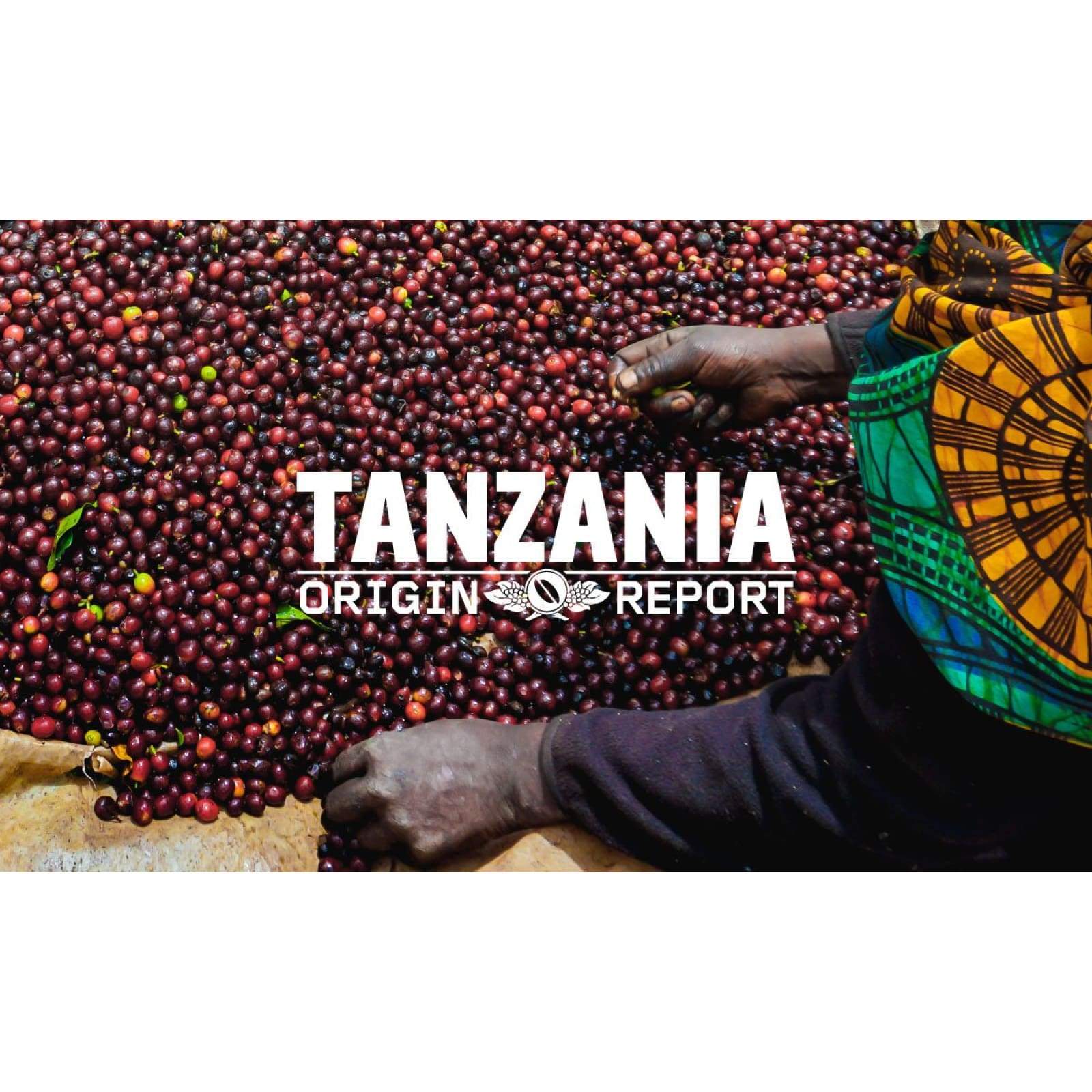 Tanzania Craft Coffee - Single Origin - Coffee - $15.25